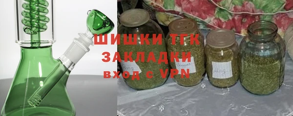 прущие грибы Богданович